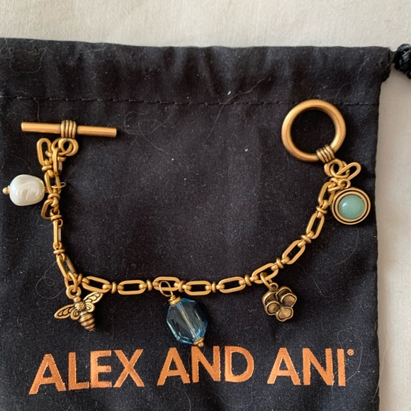 COPY - Alex and Ani Treasure Multi Charm Bracelet - Picture 2 of 4